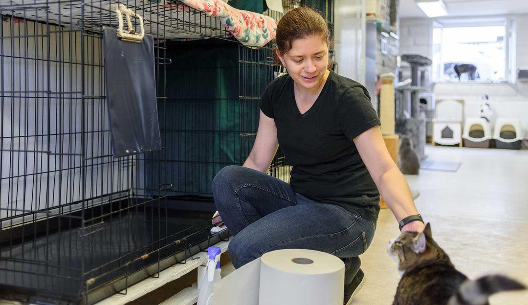 membraclean Desinfektion für Flächen & Gegenstände im Veterinärbereich - membraclean-shop.de