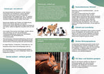 Sag´s weiter! - Flyer membraclean Trinkwasseraufbereitung "Tierisch gut" für Nutztiere und Haustiere - Innenseite