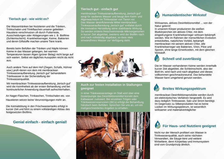Sag´s weiter! - Flyer membraclean Trinkwasseraufbereitung "Tierisch gut" für Nutztiere und Haustiere - Innenseite