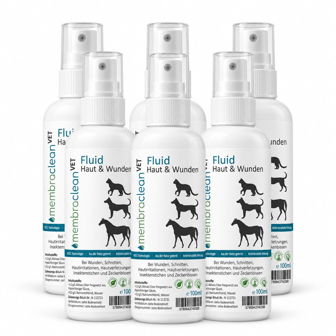 Produktbild: 6 x 100 ml membraclean VET Fluid in Sprühflaschen für Haut &amp; Wunden