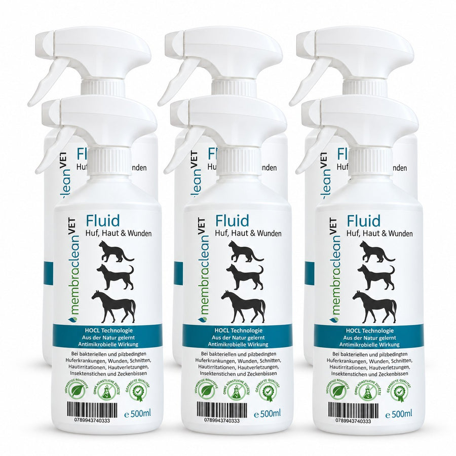 Produktbild: 6 x 500 ml membraclean VET Fluid in Sprühflaschen für Haut & Wunden