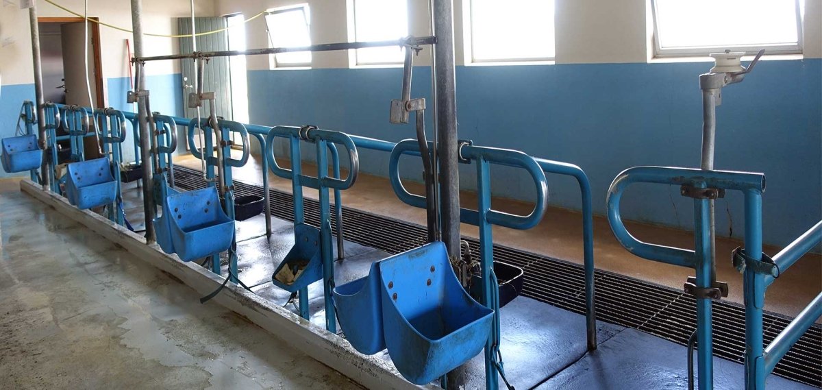 Gereinigter leerer Stall als Beispiel für vorbereitete Flächenhygiene im Veterinärbereich